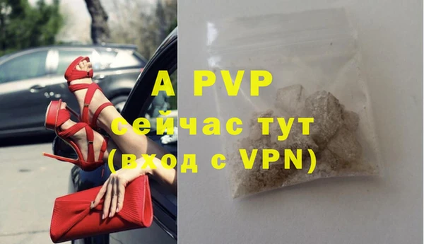 винт Белокуриха