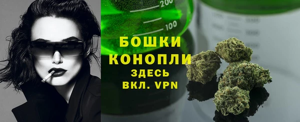 винт Белокуриха