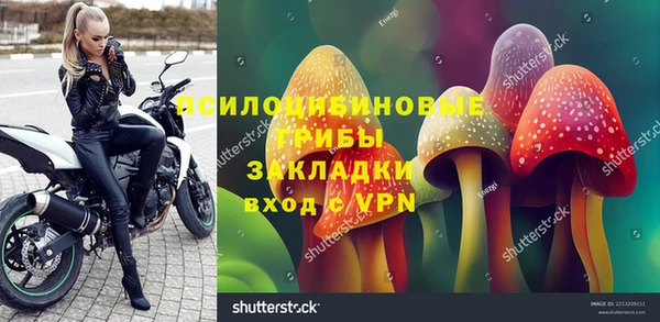 винт Белокуриха