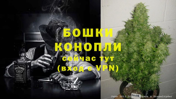 ГАЛЛЮЦИНОГЕННЫЕ ГРИБЫ Беломорск