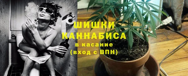 винт Белокуриха